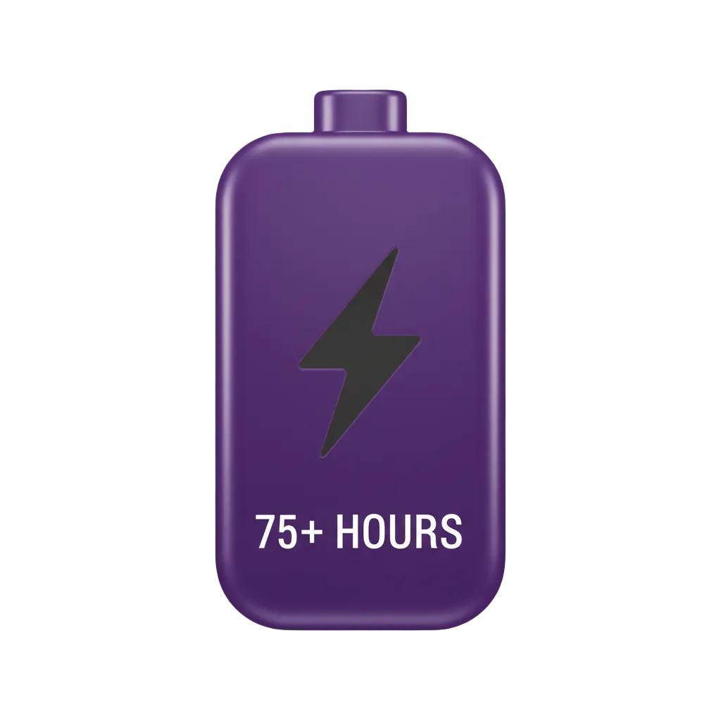 Rechargeable Battery Icon